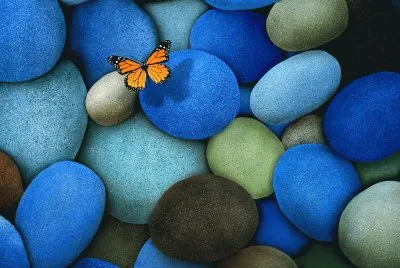 Orange-Butterfly-On-Blue jigsaw puzzle