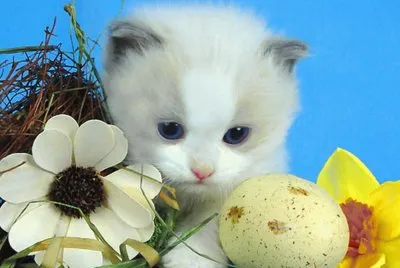 Easter