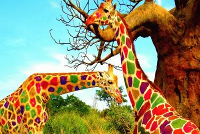 Multicolored-Giraffe