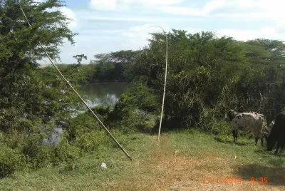 KILIMAMBOGO jigsaw puzzle