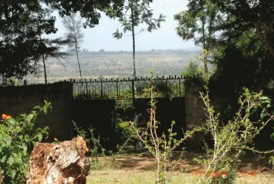 KILIMAMBOGO jigsaw puzzle