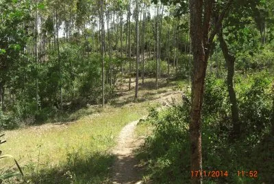 KILIMAMBOGO jigsaw puzzle