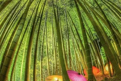 imagens jigsaw puzzle