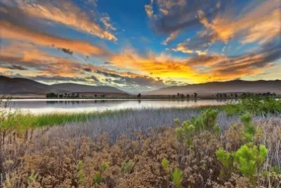 NATUREZA jigsaw puzzle