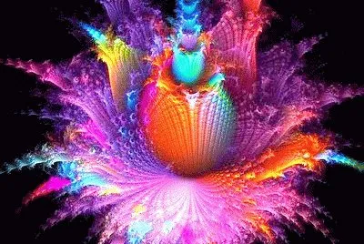 Colors
