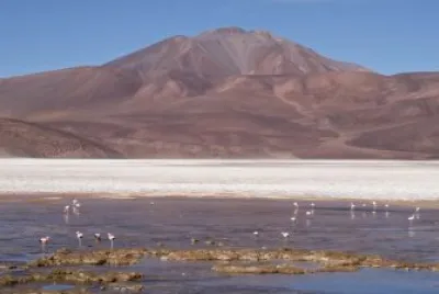 Laguna de los Aparejos. Catamarca. Argentina