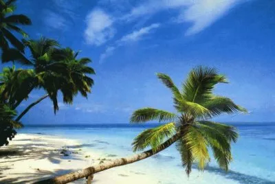 Paisatje jigsaw puzzle