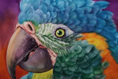 פאזל של Beautiful Parrot