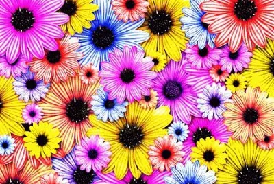 draw jigsaw puzzle