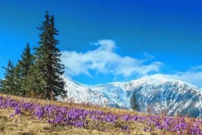NATUREZA jigsaw puzzle