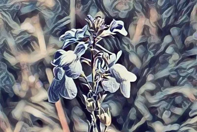 Small wildflower1 (photo edited) jigsaw puzzle