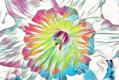 Daffodil in botanical gardens (photo edited) jigsaw puzzle