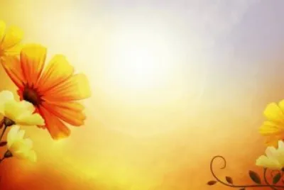 èŠ±åœ– jigsaw puzzle