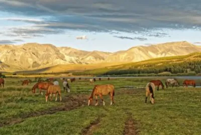 Cerca de Esquel. Chubut. Argentina