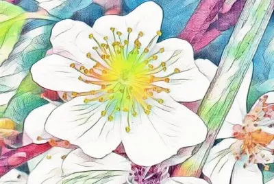 White wild rose1 (photo edited) jigsaw puzzle