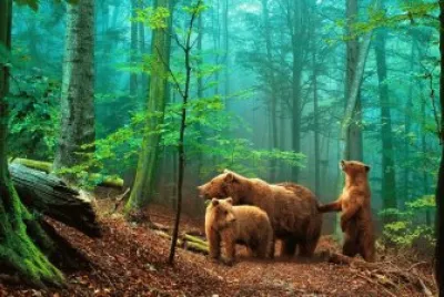 Uno-Dos-Tres-Osos jigsaw puzzle