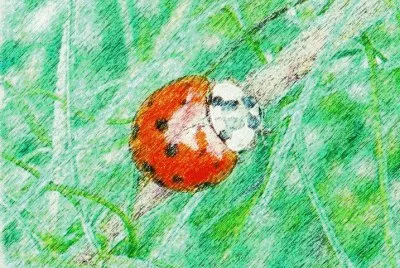 Lady bug3 (photo edited) jigsaw puzzle