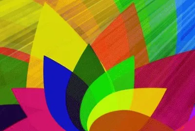 draw