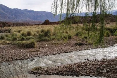 En Uspallata. Mendoza. Argentina jigsaw puzzle