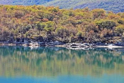 BahÃ­a Lapataia. Tierra del Fuego. Argentina jigsaw puzzle