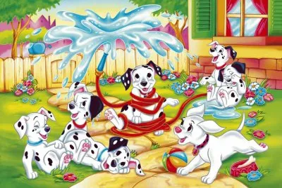 101 d jigsaw puzzle