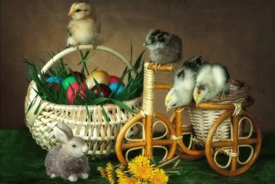 Patos de Fiesta