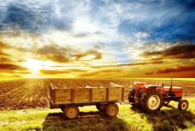 imagens jigsaw puzzle