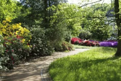 parque jigsaw puzzle