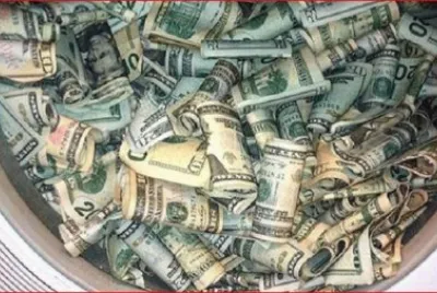 DOLLARES