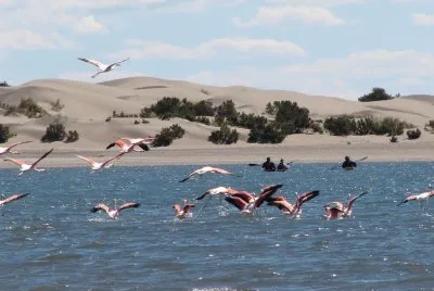 Caleta en la Provincia de RÃ­o Negro. Argentina