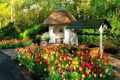 Netherlands_Parks_Tulips_ jigsaw puzzle