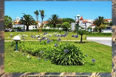 FIGUEIRA DA FOZ (PORTUGAL) - PRECIOSO JARDIN jigsaw puzzle