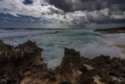 mar  bravo jigsaw puzzle
