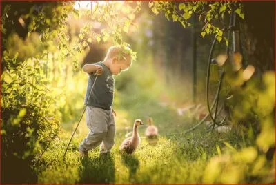 NIÃ‘O CON PATOS jigsaw puzzle