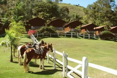 imagens
