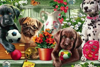Perritos