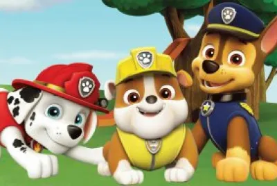 19 jigsaw puzzle
