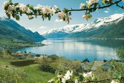 imagens jigsaw puzzle