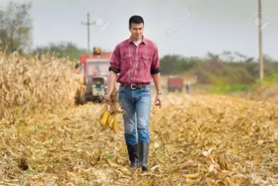Plantacao