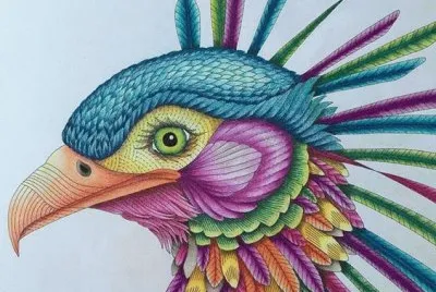 Colored Bird