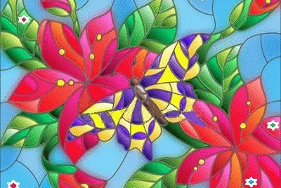 lily6