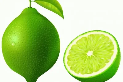 limon jigsaw puzzle