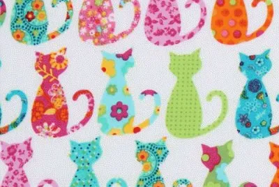 gatos