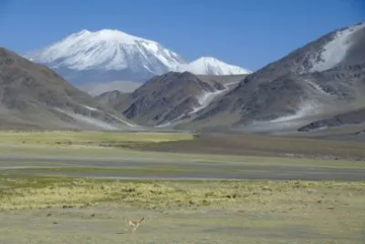 VolcÃ¡n Incahuasi. Catamarca. Argentina jigsaw puzzle
