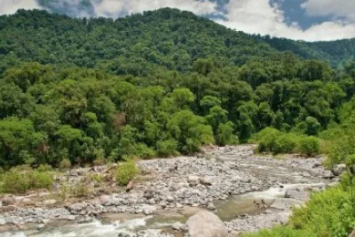 Reserva Los Sosa. TucumÃ¡n. Argentina jigsaw puzzle