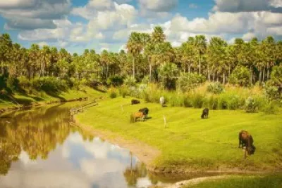 Arroyo Los Amores. Santa Fe. Argentina jigsaw puzzle
