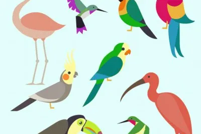 aves