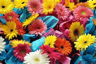 Bouquet-of-Gerberas jigsaw puzzle
