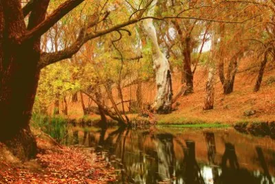 otoÃ±o jigsaw puzzle