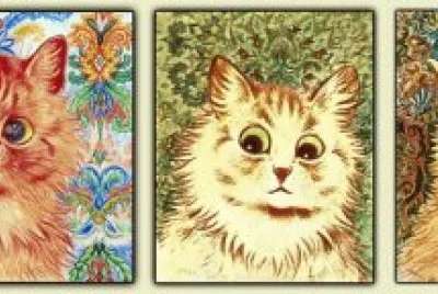 Cats